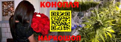 spice Обь