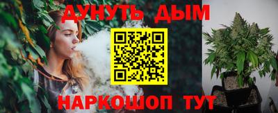 spice Обь