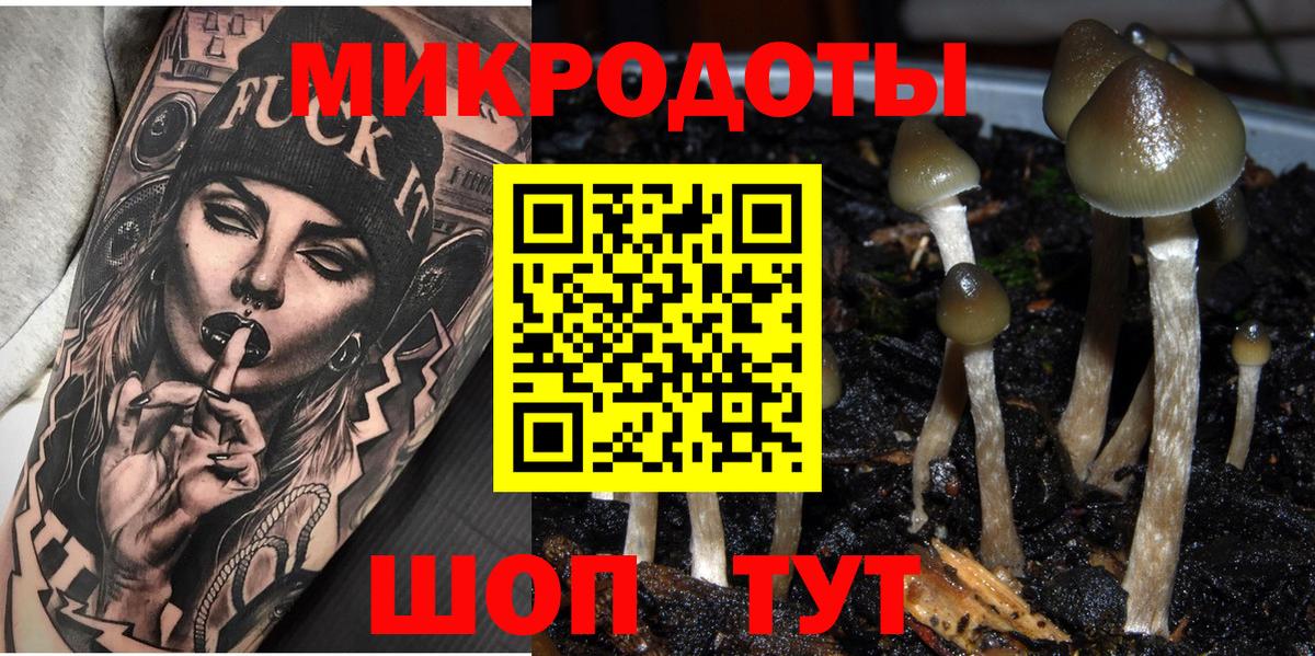 хочу наркоту  Псилоцибиновые грибы прущие грибы  Вход с VPN  Симферополь 